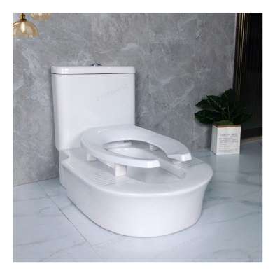 2020 New design Chaozhou ceramic dual flush one piece toilet washdown squatting pan toilet with seat cover